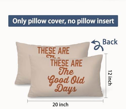 Inspirational These are The Good Old Days 12x20 Pillow Cover, Retro - Image 7