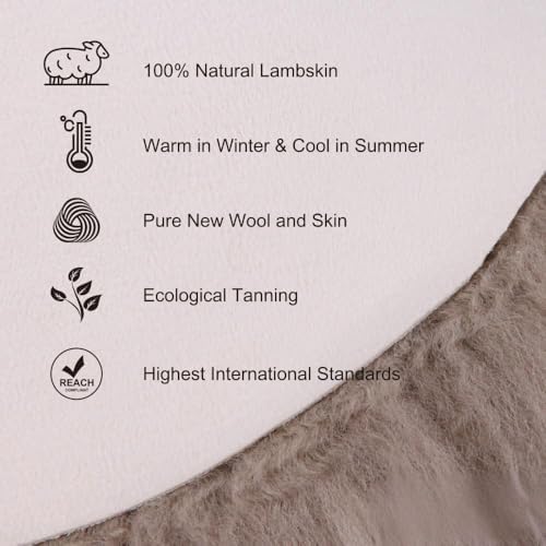 Genuine Real NZ Sheepskin Area Rug Fluffy Lambskin fur Dark beige 2x3ft - Image 6