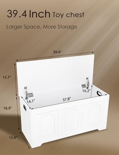DINZI LVJ Storage Chest, Wooden Toy Box - Image 3