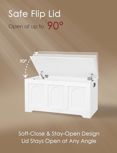 DINZI LVJ Storage Chest, Wooden Toy Box - Image 6
