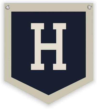 Lacama Toddler Boys Room Decor，Name Pennant Flag Banner by Lacama