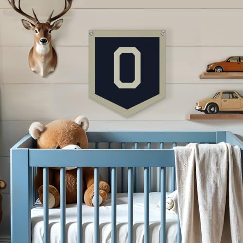 Lacama Toddler Boys Room Decor Name Pennant Flag O banner - Image 4