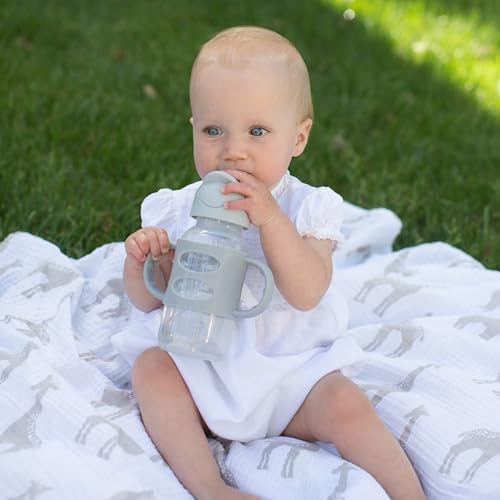 Dr. Brown's Wide-Neck Sippy Straw Bottle - Image 4