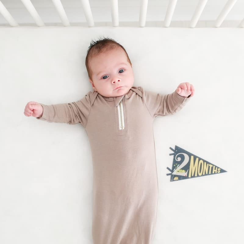 Lucy Darling Petit Milestone Pennants – Baby Monthly Milestone Pennant Flags – Newborn Photo Props & Felt Nursery Decor – Keepsake Banner Set for Baby Photos – Little Camper