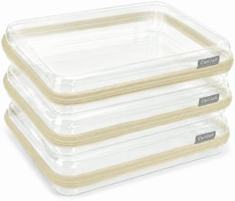 CoiiJoii Clear Hard Shell Zipper Case by CoiiJoii