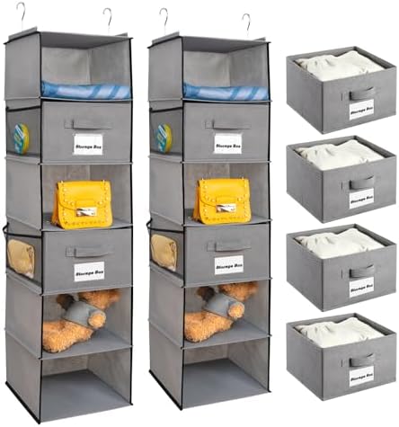 BrilliantJo 2 Pack 6 Shelves Hanging Closet Organizer by BrilliantJo