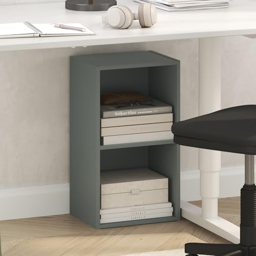 Furinno PASIR Book Shelf, 2-Tier Modern Bookshelf, Open Shelves Bookcase 9 x 12 by Furinno-FitsYourSpaceFitsYourBudget