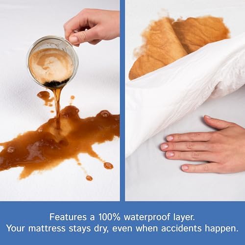 Twin Size Mattress or Box Spring Encasement Waterproof Zippered Protector - Image 3