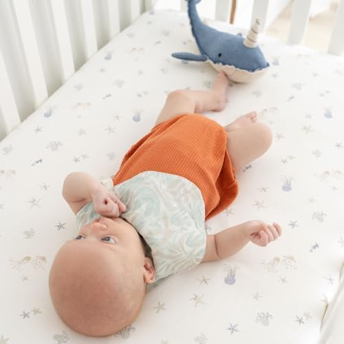 Crane Baby 100% Cotton Under The Sea Fitted Crib Sheet - Image 4