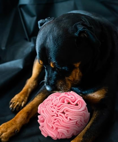 Glory To Dog Medium Breed Snuffle Foraging Dog Puzzle Ball Toy Pink Large - Image 2
