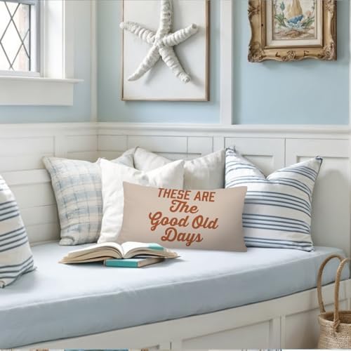 Inspirational These are The Good Old Days 12x20 Pillow Cover, Retro - Image 4
