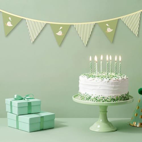 Hahafelt Goose Fabric Banner 1st Birthday Decor, Sage Green - Image 4