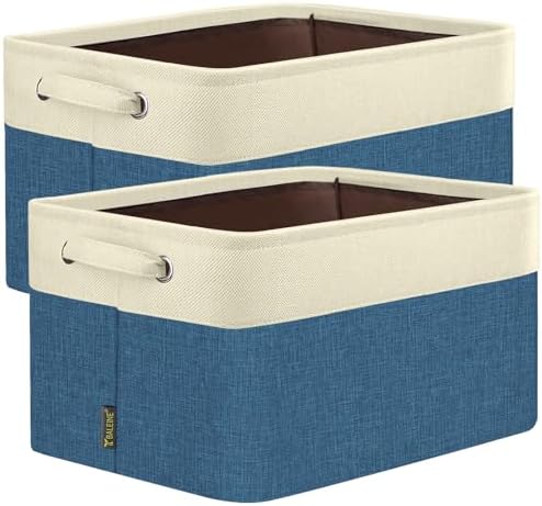 BALEINE 2 Pack Fabric Closet Storage Bins by BALEINE