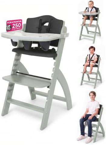 Abiie Beyond Junior Convertible Wooden High Chair by Abiie