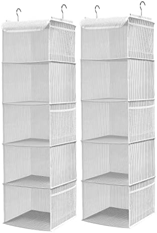 BrilliantJo 5 Shelves Hanging Closet Organizer, 2 Pack Hanging Storage by BrilliantJo