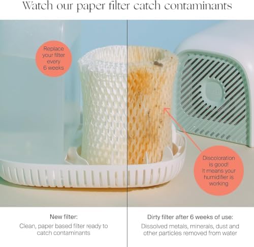 Canopy Original Bedside Humidifier Filter, 6-Week Replacement - Image 2