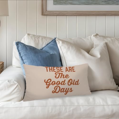 Inspirational These are The Good Old Days 12x20 Pillow Cover, Retro - Image 6