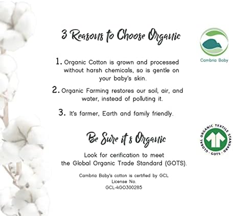 100% Organic Cotton 2 Pk Bedside Sleeper Bassinet Fitted Mattress Sheets - Image 6
