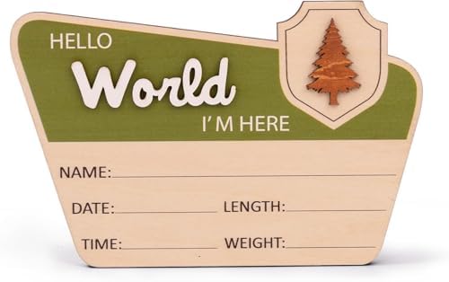 Adventure Hello World I'm Here Sign, Wooden Retro Birth Announcement Prop by TTMerriwood