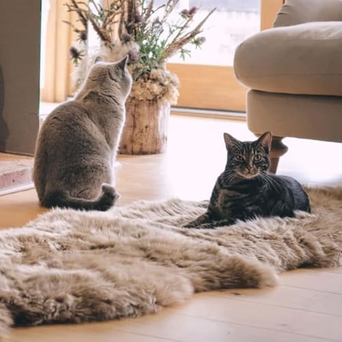 Genuine Real NZ Sheepskin Area Rug Fluffy Lambskin fur Dark beige 2x3ft - Image 5