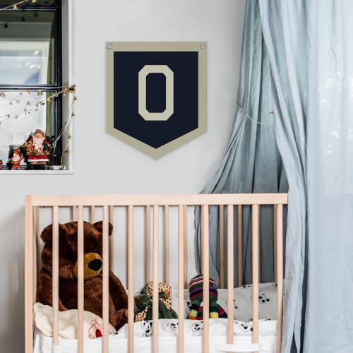 Lacama Toddler Boys Room Decor Name Pennant Flag O banner - Image 2