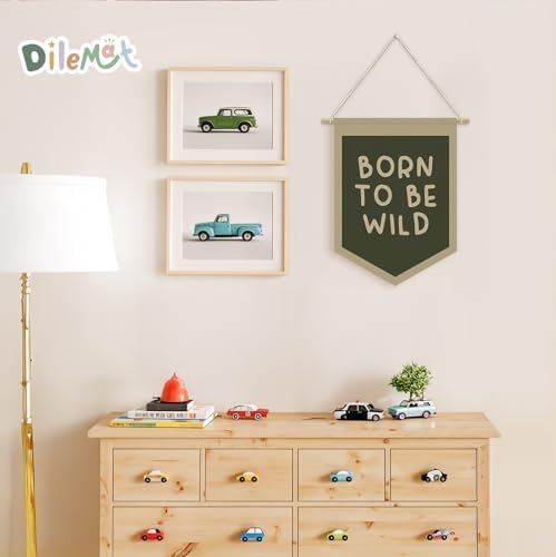 Boys Nursery Decor, Born To Be Wild Pennant Banner - Image 4