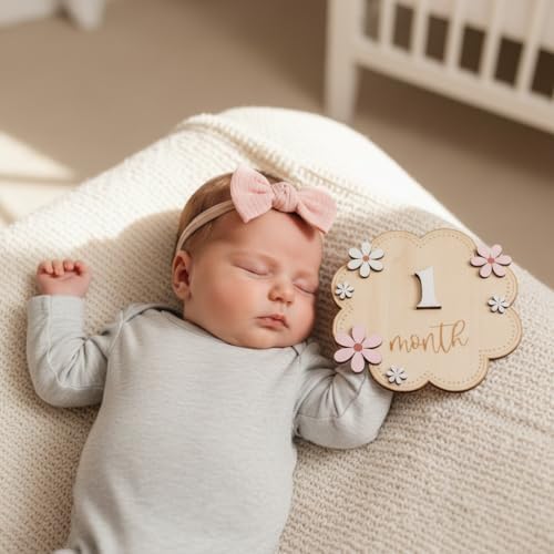 Baby Girl Monthly Milestone Signs, 1-12 Monthly Baby Milestone Girl, Newborn - Image 3