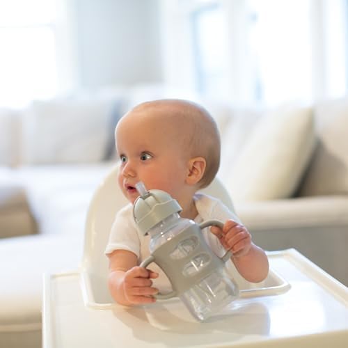 Dr. Brown's Wide-Neck Sippy Straw Bottle - Image 5