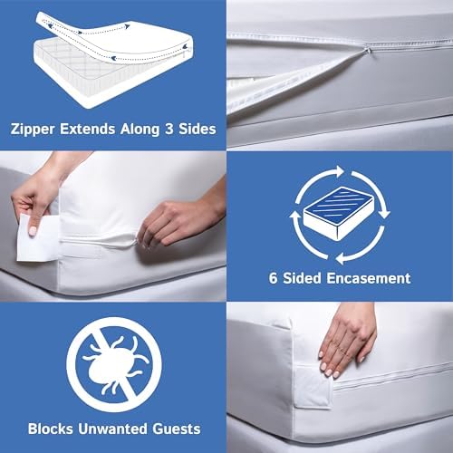 Queen Mattress or Box Spring Protector - Image 6