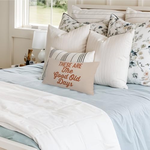 Inspirational These are The Good Old Days 12x20 Pillow Cover, Retro - Image 2
