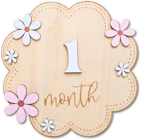 Baby Girl Monthly Milestone Signs, 1-12 Monthly Baby Milestone Girl, Newborn by HiMomWelcomtoMemolebia
