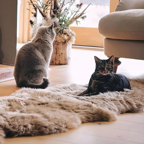 Genuine Real NZ Sheepskin Area Rug Fluffy Lambskin Fur Mushroom 2 x 3.2ft - Image 5