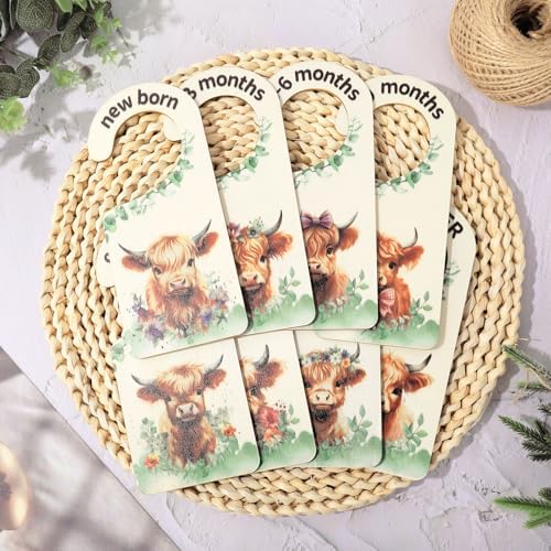 Whaline 8 Pcs Baby Closet Size Dividers Watercolor Highland Cow Hanging Wood - Image 4