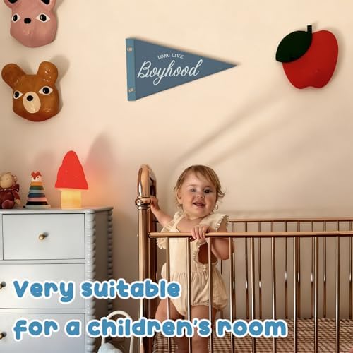 Kids Playroom Decor Pennant Felt Banner Flags, Long Live Boyhood Flet Banner - Image 6