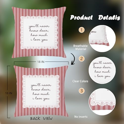 You'll Never Know Dear How Much I Love You Pink Striped Pillow Cover 18x18 - Image 2