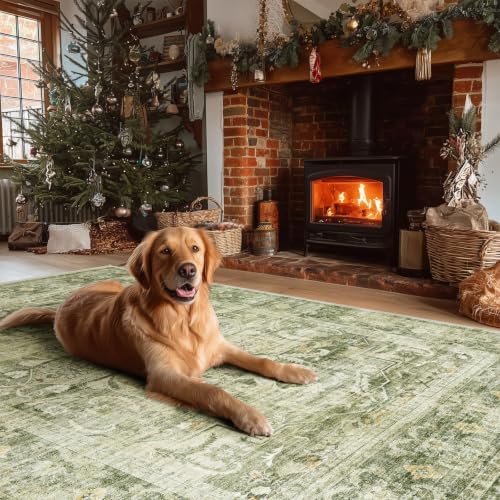 Washable Living Room Area Rug: 8x10 Bedroom Rug Non Slip Boho Large Carpet - Image 7