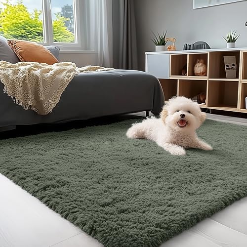OLANLY 3x5 Machine Washable Small Bedside Rug, Soft Fluffy Shaggy Rugs by OLANLY