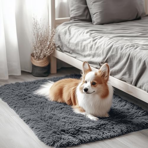 OLANLY 2x3 Machine Washable Small Bedside Rug, Soft Fluffy Shaggy Entryway by OLANLY