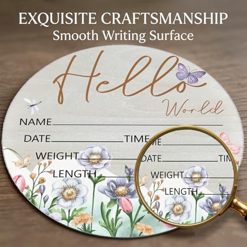 Birth Announcement Sign Hello World Baby Name Wood Butterfly Theme - Image 5