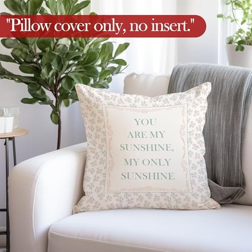 You are My Sunshine Throw Pillow Cover 18x18 Inche, Baby Girl Nursery Decor - Image 4
