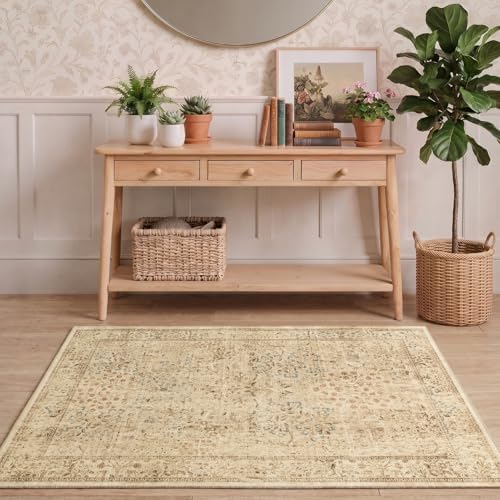 Neutral Tan Throw Rugs 3x4, Farmhouse Small Area Rugs - Image 3