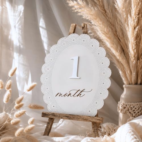Baby Girl Monthly Milestone Signs, 1-12 Monthly Baby Milestone Girl, Newborn - Image 4