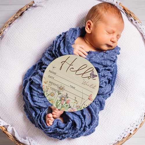 Birth Announcement Sign Hello World Baby Name Wood Butterfly Theme - Image 3