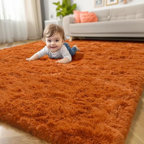 Amdrebio Burnt Orange Fall Shag Plush Area Rug 4x6 by Amdrebio