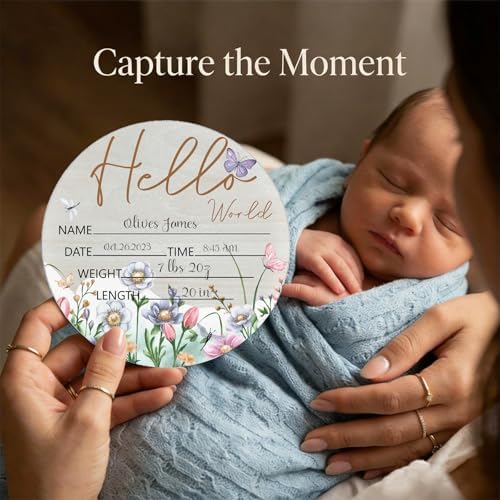 Birth Announcement Sign Hello World Baby Name Wood Butterfly Theme - Image 2