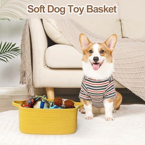 Cute Yellow Gift Basket, Woven Baskets - Image 5