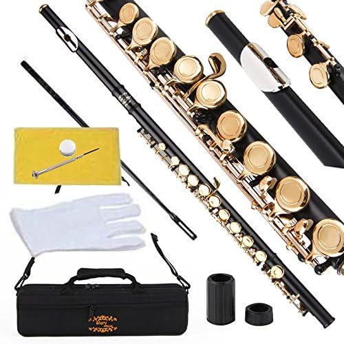 Glory Closed Hole C Flute With Case, Tuning Rod and Cloth and Gloves black/Laquer