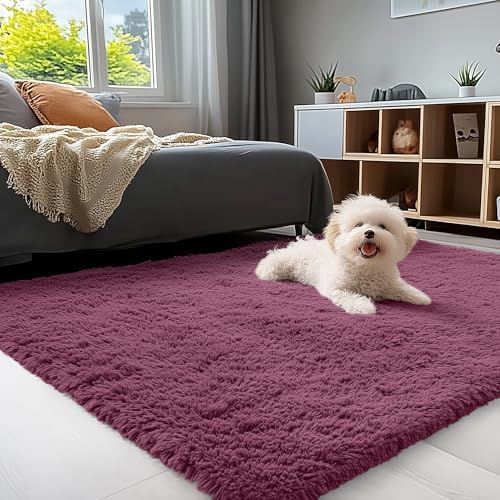 OLANLY 3x5 Machine Washable Small Bedside Rug, Soft Fluffy Shaggy Rugs by OLANLY