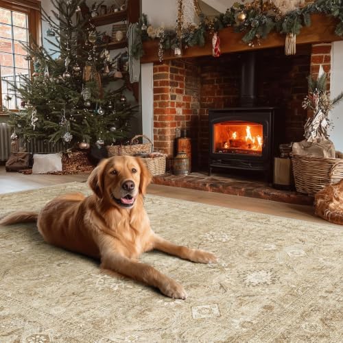 6x9 Area Rugs for Living Room: Washable Bedroom Rug Non Slip Boho Carpet - Image 7