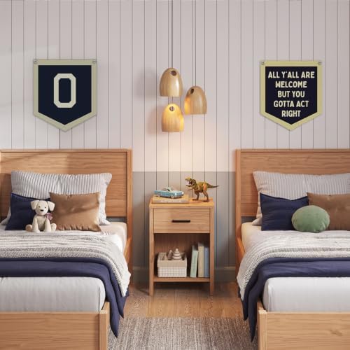 Lacama Toddler Boys Room Decor Name Pennant Flag O banner - Image 3